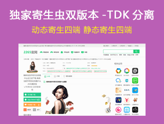 XCSEO独家静态动态寄生虫反向缓存版封面图